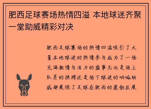 肥西足球赛场热情四溢 本地球迷齐聚一堂助威精彩对决
