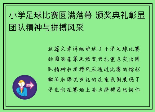 小学足球比赛圆满落幕 颁奖典礼彰显团队精神与拼搏风采