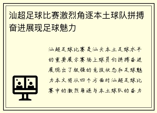 汕超足球比赛激烈角逐本土球队拼搏奋进展现足球魅力