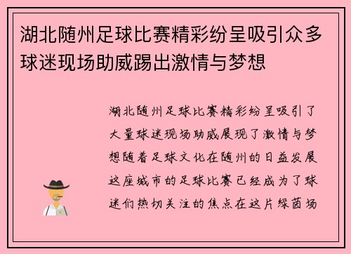 湖北随州足球比赛精彩纷呈吸引众多球迷现场助威踢出激情与梦想