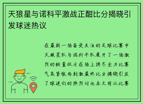 天狼星与诺科平激战正酣比分揭晓引发球迷热议