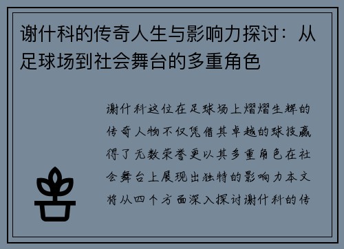 谢什科的传奇人生与影响力探讨：从足球场到社会舞台的多重角色